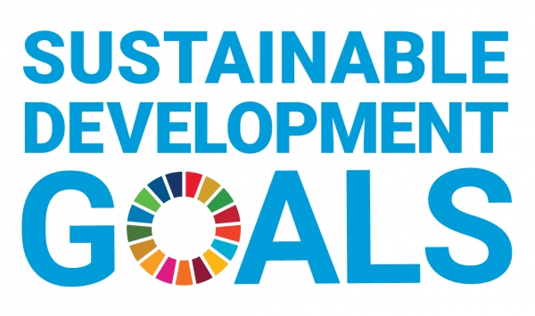 Chamada de artigos - A África Subsariana e Objetivos de Desenvolvimento Sustentável
