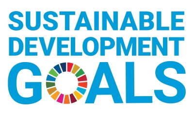 Call for Papers - Sub-Saharan Africa and Sustainable Development Goals