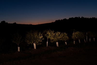 O custo da produ&ccedil;&atilde;o agr&iacute;cola na regi&atilde;o do Alentejo em Portugal