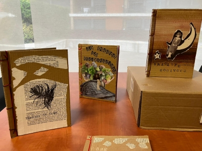 Workshop Livros Cartoneros no Umundu LX